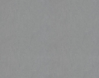[100111112_2] Marmoleum Fresco - 3866/386635 eternity